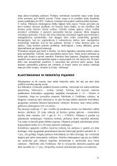 Kainų elastingumas (kreivių braižymas) 11 puslapis
