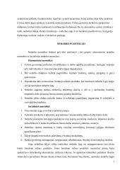 Nedarbas ir infliacija (bedarbystė) 4 puslapis