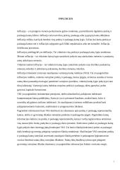 Nedarbas ir infliacija (bedarbystė) 6 puslapis