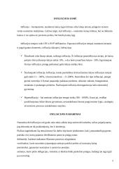 Nedarbas ir infliacija (bedarbystė) 7 puslapis