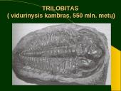 Gyvybės atsiradimas ir raida. Fosilijos 6 puslapis