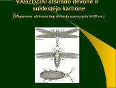 Gyvybės atsiradimas ir raida. Fosilijos 8 puslapis