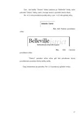 Elektroninė leidyba (technologinis progresas) 17 puslapis