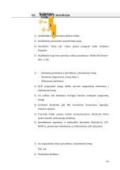 Elektroninė leidyba (technologinis progresas) 20 puslapis