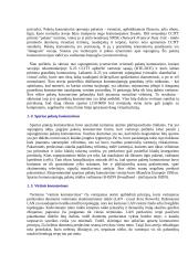 Komutavimo principai ir įranga 3 puslapis