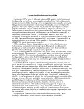 ES paramos fondų sąveika 2 puslapis