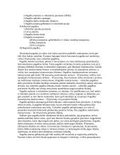 ES paramos fondų sąveika 8 puslapis