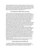 ES paramos fondų sąveika 10 puslapis