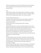 Saugos darbe ir asmens higienos reikalavimai 3 puslapis