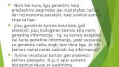 Genetinių metodų taikymas 7 puslapis