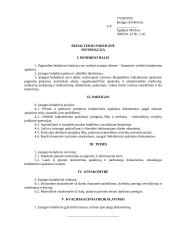 Buhalterio pareiginė instrukcija