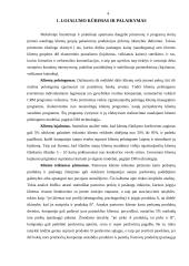 Klientų aptarnavimo ypatumai 3 puslapis