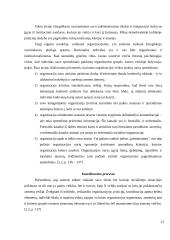 Administracinių sprendimų psichologija 12 puslapis