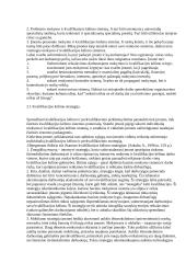 Darbuotojų tobulinimas ir mokymas 4 puslapis