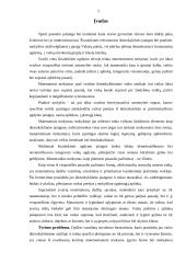 Dydžio vaizdinių formavimas 2 puslapis