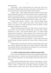 Dydžio vaizdinių formavimas 11 puslapis