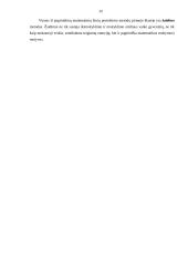 Dydžio vaizdinių formavimas 14 puslapis