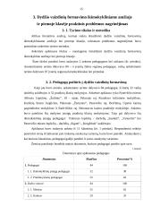 Dydžio vaizdinių formavimas 15 puslapis