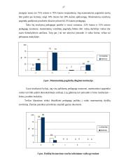 Dydžio vaizdinių formavimas 17 puslapis