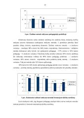 Dydžio vaizdinių formavimas 19 puslapis