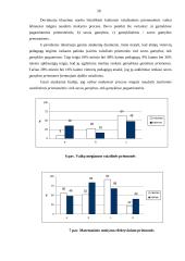 Dydžio vaizdinių formavimas 20 puslapis