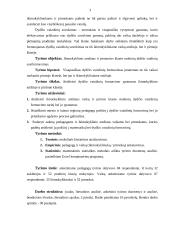 Dydžio vaizdinių formavimas 3 puslapis