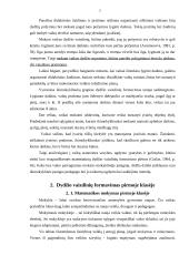 Dydžio vaizdinių formavimas 7 puslapis