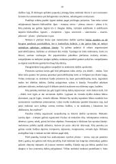 Dydžio vaizdinių formavimas 10 puslapis