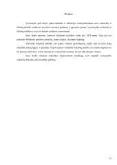 Lietuvos fiskalinė politika bei jos raida 12 puslapis