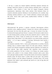 Narkomanija ir alkoholizmas bei jų prevencija mokykloje 12 puslapis
