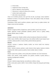 Narkomanija ir alkoholizmas bei jų prevencija mokykloje 20 puslapis