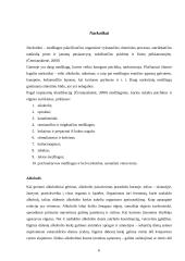 Narkomanija ir alkoholizmas bei jų prevencija mokykloje 6 puslapis