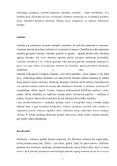 Narkomanija ir alkoholizmas bei jų prevencija mokykloje 7 puslapis