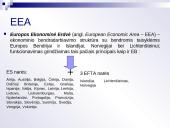 Bendrosios rinkos funkcionavimas 4 puslapis