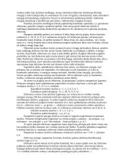 Atomas, termodinamika, termochemija ir polimerai 4 puslapis