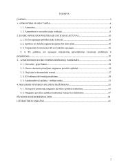 ES ir Lietuvos politika dėl atmosferos ir oro taršos 2 puslapis