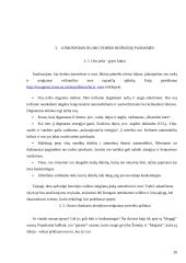 ES ir Lietuvos politika dėl atmosferos ir oro taršos 20 puslapis