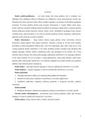 ES ir Lietuvos politika dėl atmosferos ir oro taršos 3 puslapis