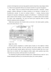 ES ir Lietuvos politika dėl atmosferos ir oro taršos 7 puslapis
