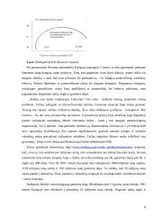 ES ir Lietuvos politika dėl atmosferos ir oro taršos 8 puslapis