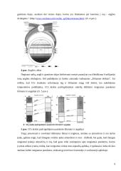 ES ir Lietuvos politika dėl atmosferos ir oro taršos 9 puslapis