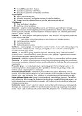 Įmonių tipai bei rūšys 4 puslapis