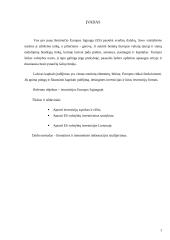 Investicijos ES 2 puslapis