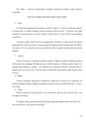 Investicijos ES 11 puslapis