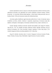 Investicijos ES 16 puslapis