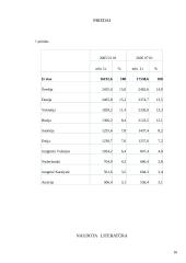 Investicijos ES 17 puslapis