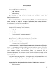 Investicijos ES 4 puslapis