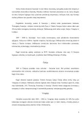 Investicijos ES 10 puslapis