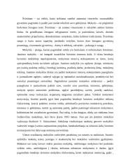 J.Ivoškevičiaus jaunimo mokykla 2 puslapis