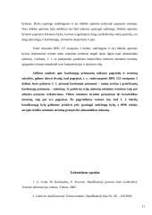 Kardomosios priemonės 11 puslapis